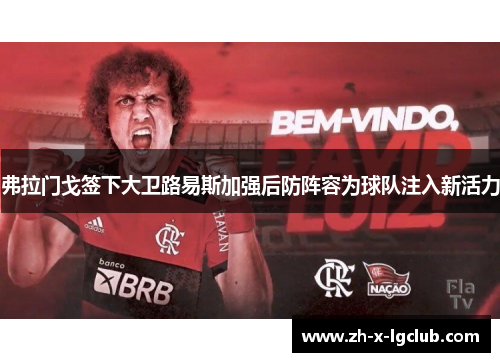 弗拉门戈签下大卫路易斯加强后防阵容为球队注入新活力 弗拉门戈签下大卫路易斯加强后防阵容为球队注入新活力