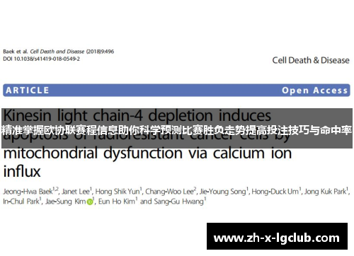 精准掌握欧协联赛程信息助你科学预测比赛胜负走势提高投注技巧与命中率